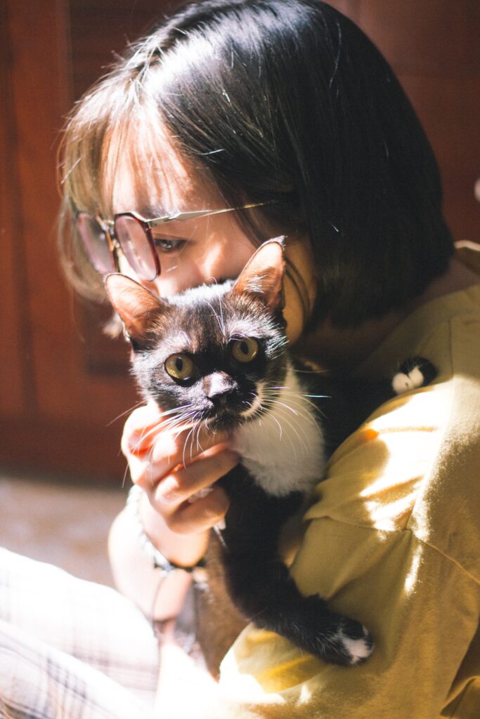 Le guide ultime pour les accessoires et la nourriture de votre chat