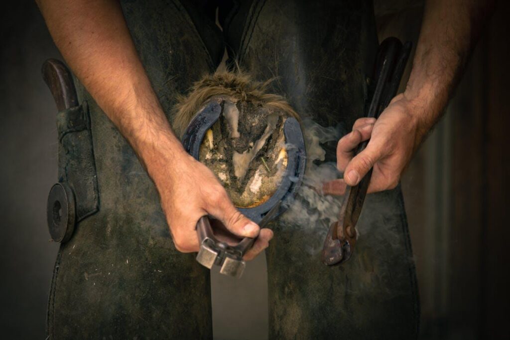 Pourquoi ferrer un cheval: tout ce que vous devez savoir
