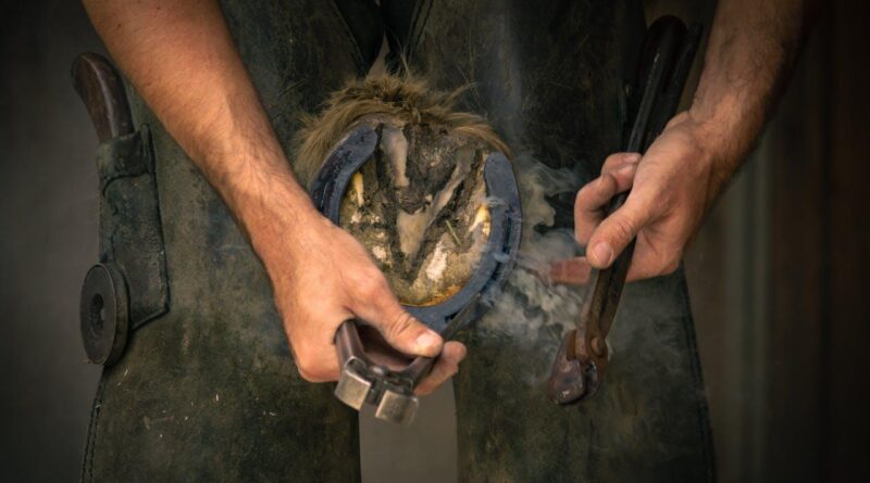 Pourquoi ferrer un cheval: tout ce que vous devez savoir